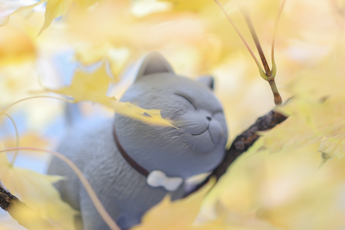 佳能eosm2值得买吗,佳能发布eosm200入门级无反相机