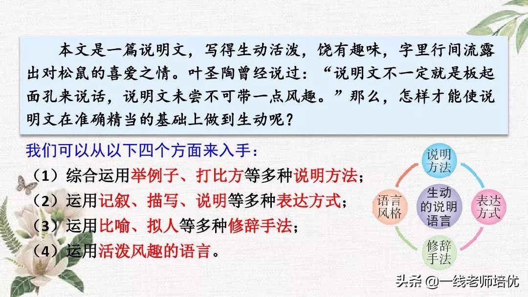 语文五年级上册第17课松鼠资料,部编版五年级上册第17课松鼠课件