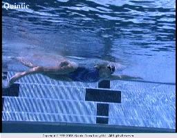 自由泳陆上打腿,自由泳4次打腿