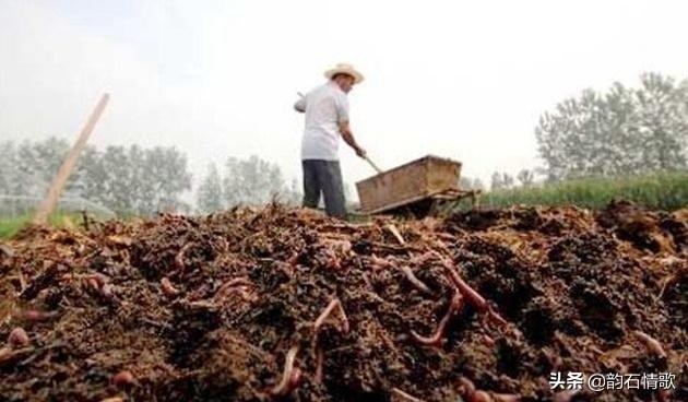 回忆离休干部父亲,回忆共产党员的父亲