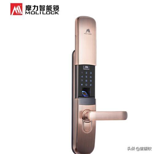 防盗门智能锁指纹锁十大品牌,智能锁十大品牌价格及图片表