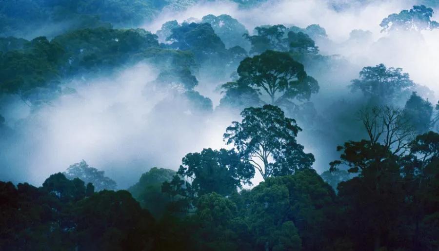 唐诗三百首其中最精妙的诗,唐诗三百首最经典长诗