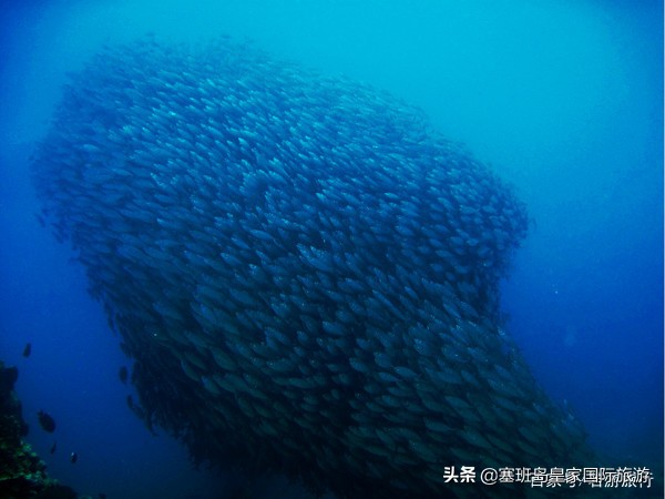 塞班岛7天游费用,塞班岛五日游路线