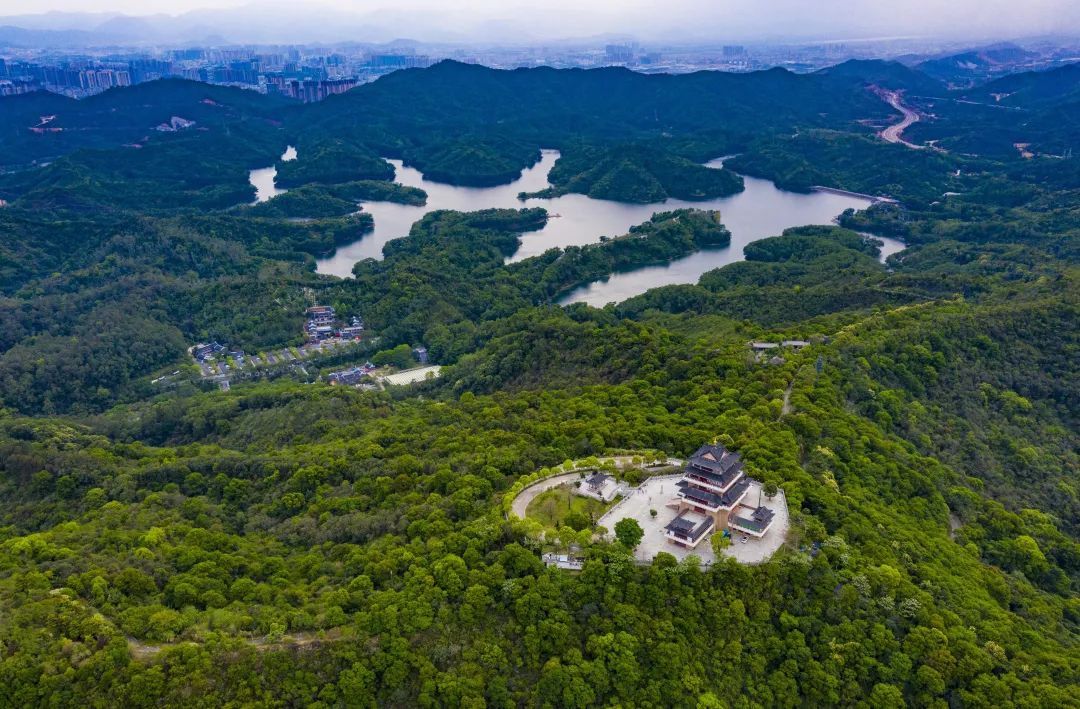 惠州招聘54人,惠州市招聘100人