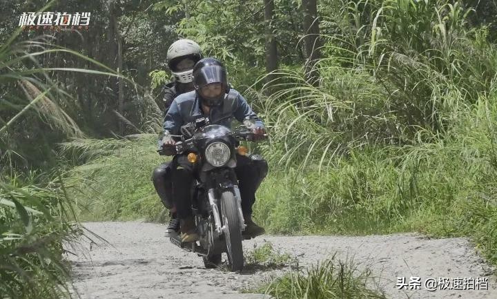 9匹上路发家致富