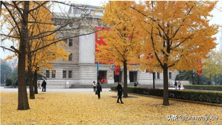 银杏凭什么能赢得植物大战？又凭什么能有长达千年的寿命？