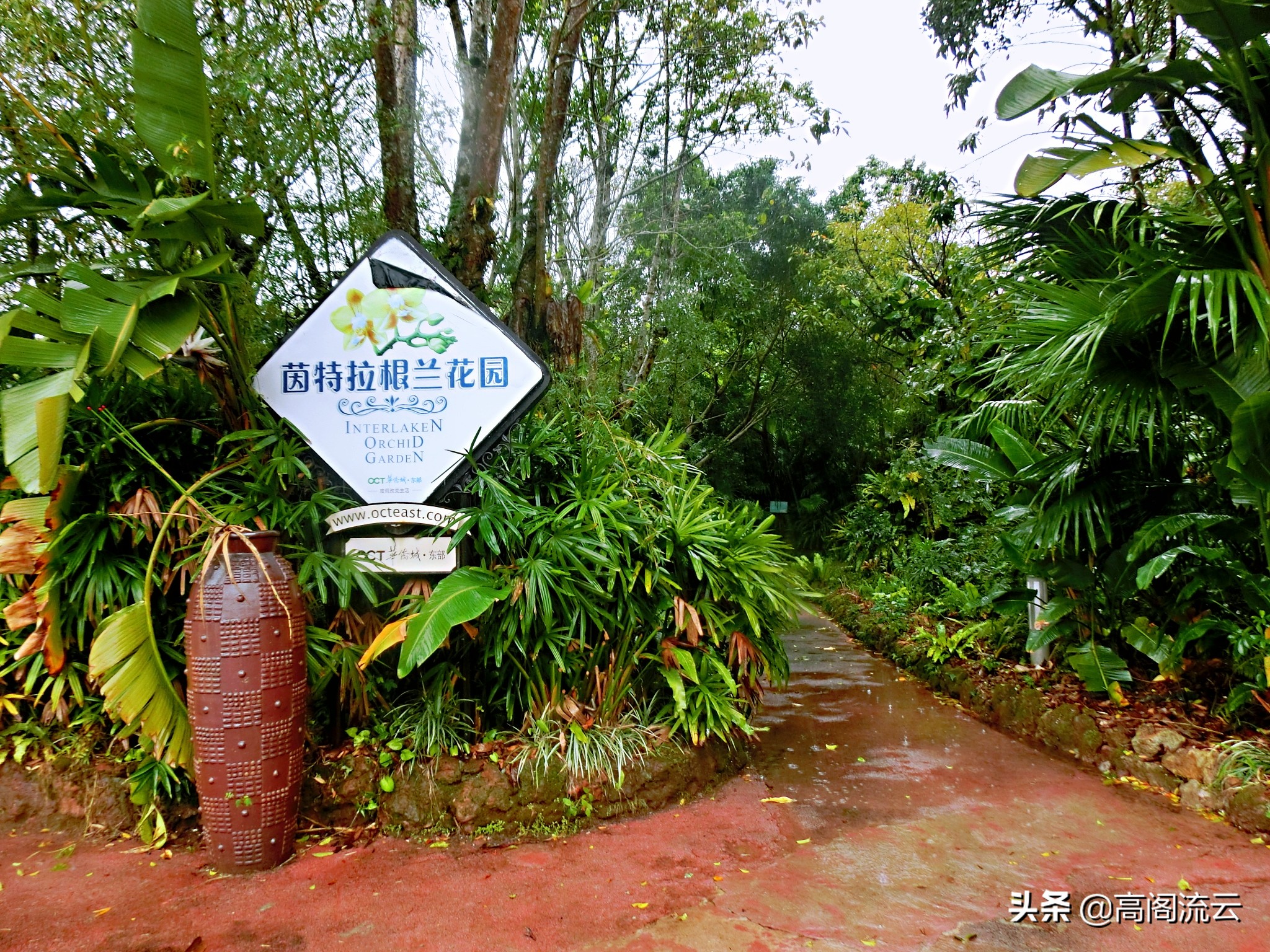 深圳旅游东部华侨城,深圳旅游必去十大景点东部华侨城