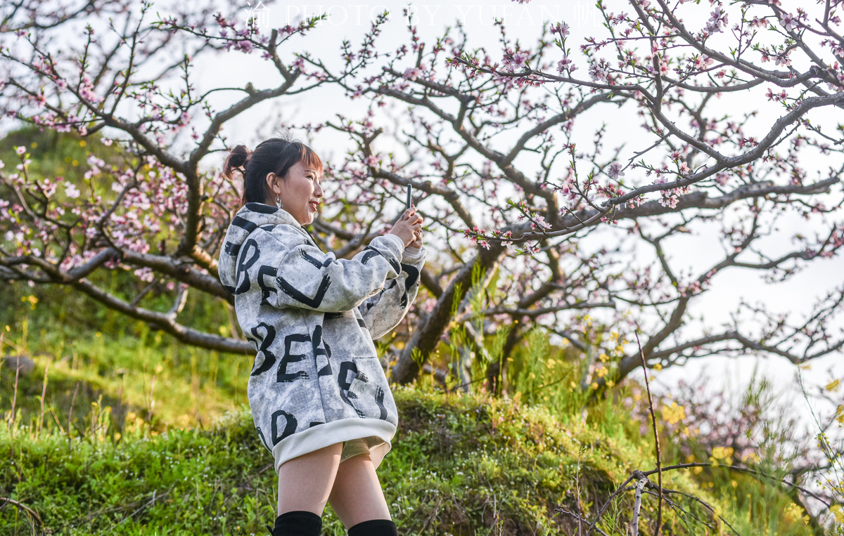 潼南桃花山景区,潼南春游踏青最佳地