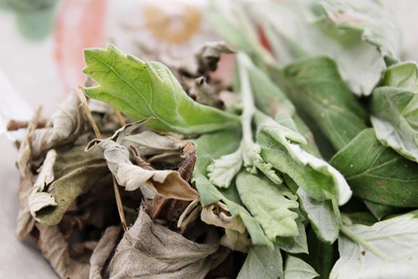 月子用艾叶煮水洗头正确步骤,艾叶煮水洗头去头皮屑要多久