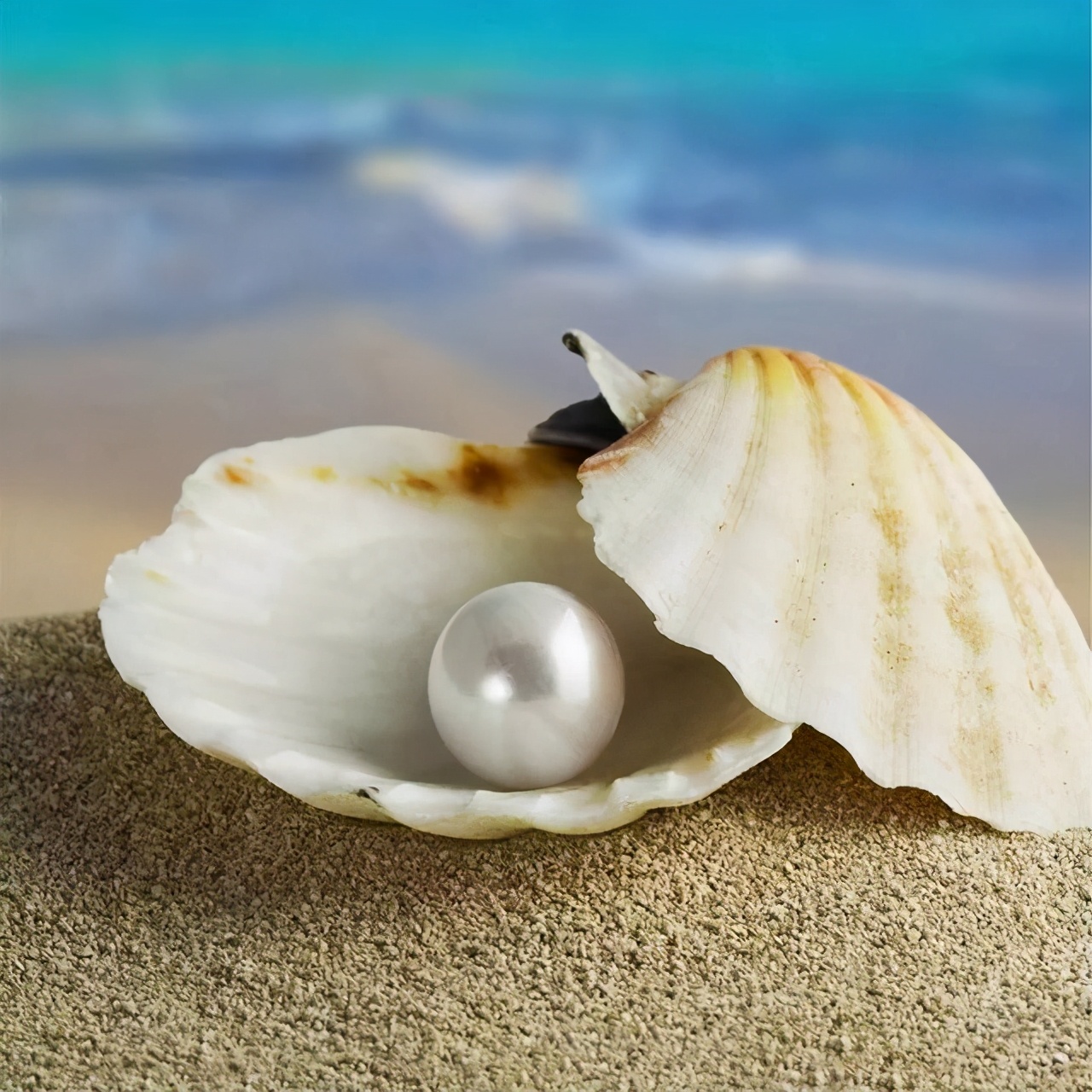 珠宝玉石水晶文玩知识,玉石文玩与收藏的区别