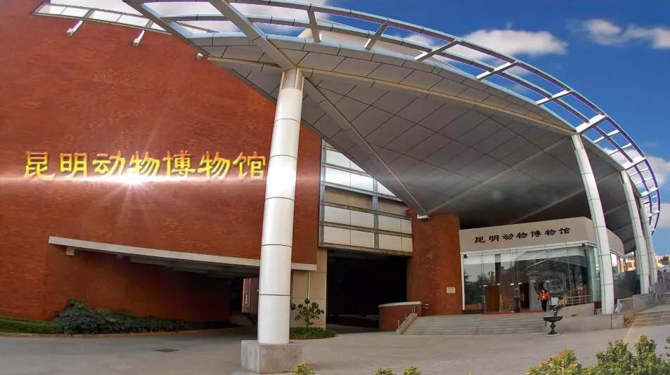 昆明动物博物馆免费开放时间,昆明博物馆和云南博物馆哪个好