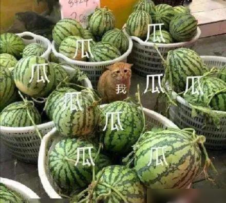 rain的成名之路,韩国rain巅峰之作