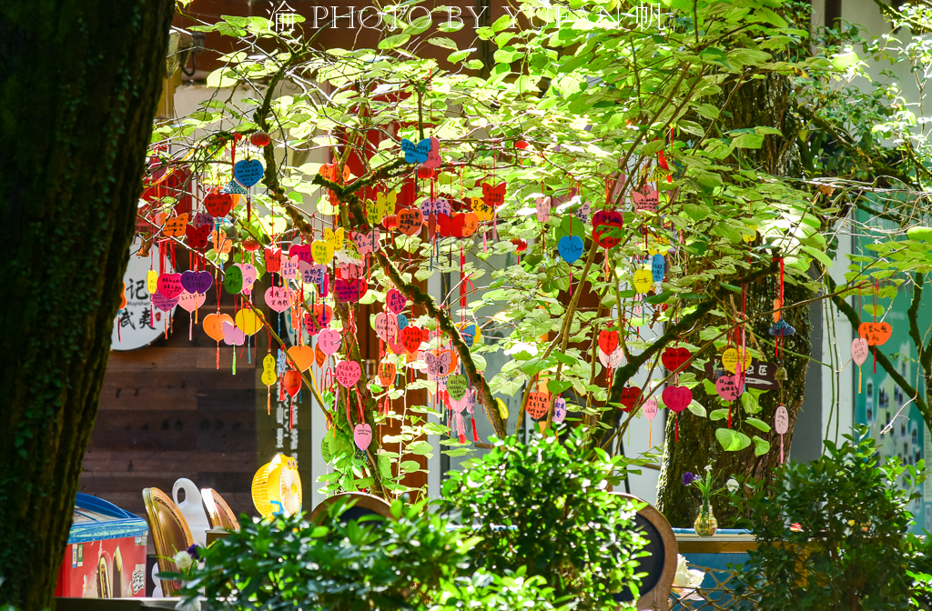 武夷山宋街介绍,武夷山宋街历史