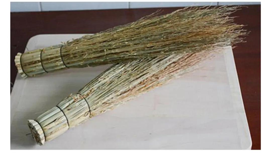 你认识野菜吗图片,你认识田间的草吗