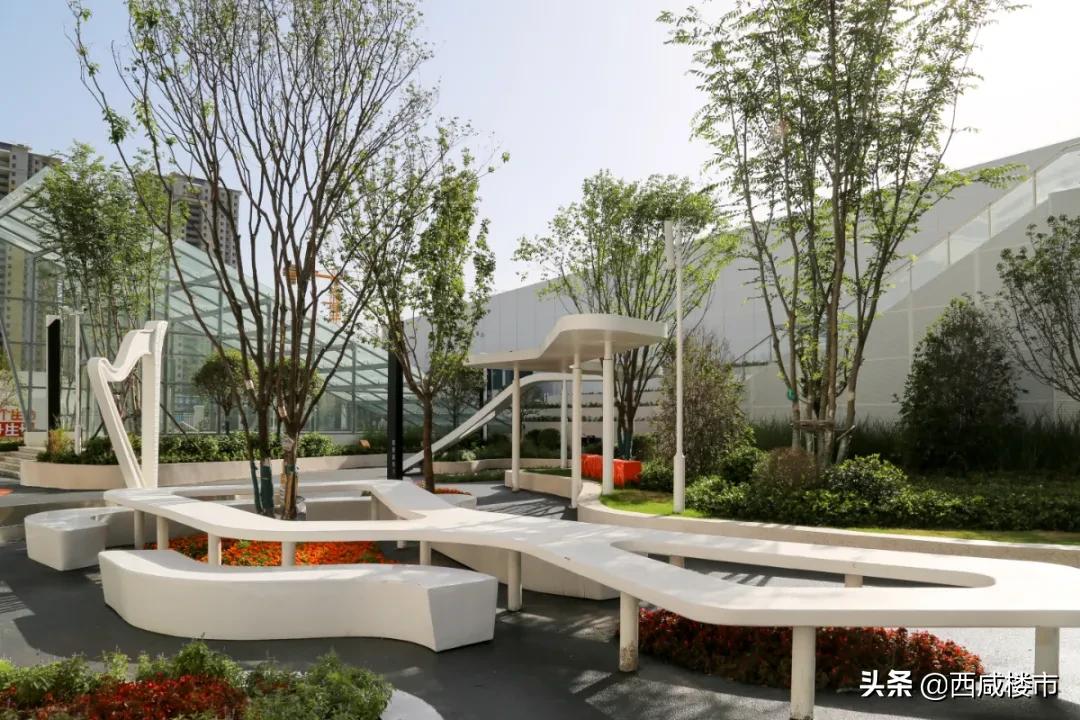 新增的231个学位是什么,5年内新增438万公办学位