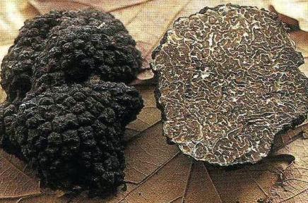 世界上最贵的食材盘点视频,世界上十种最贵的食材