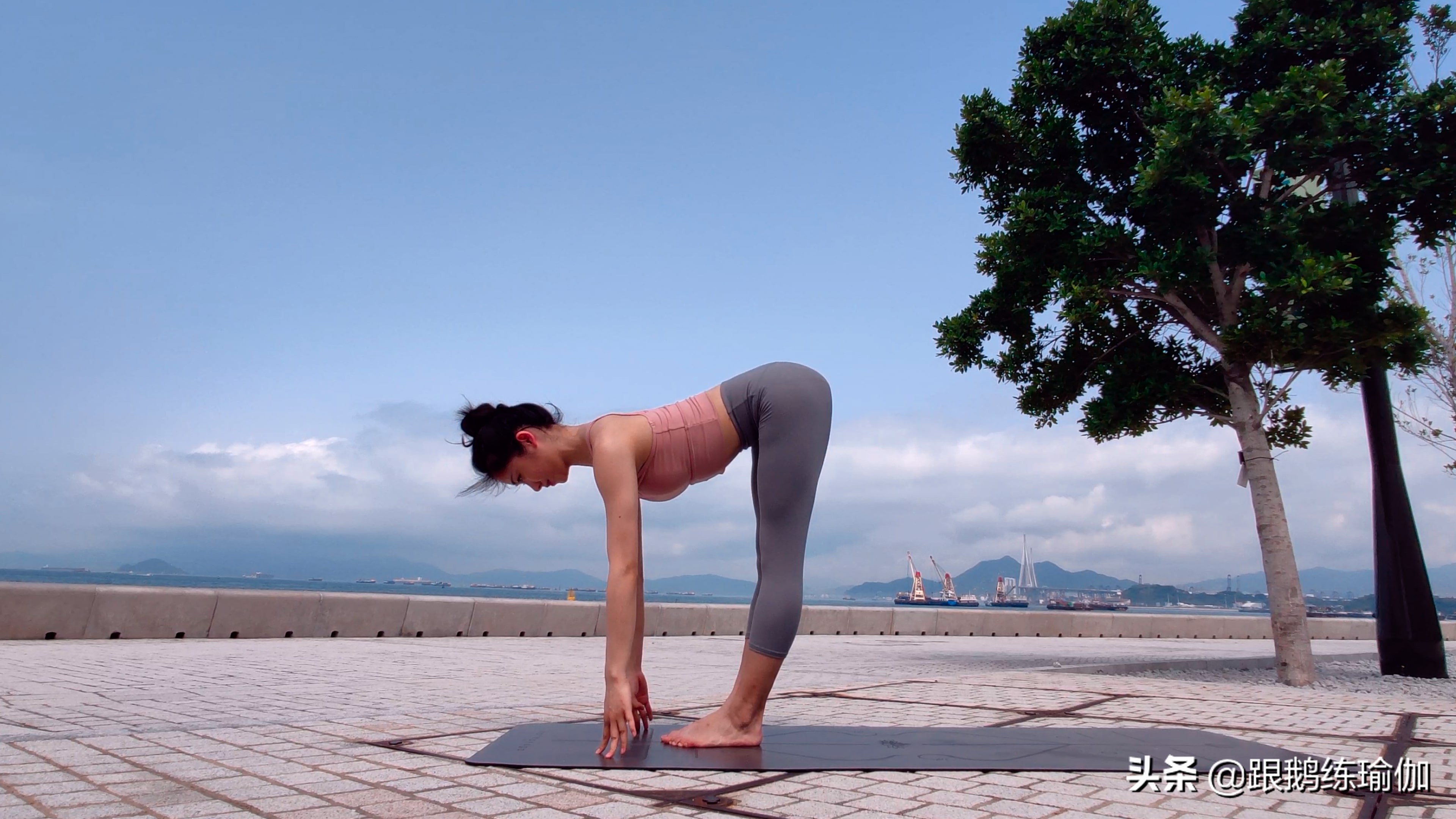 拜日a式注意要点,拜日式a完整版口令