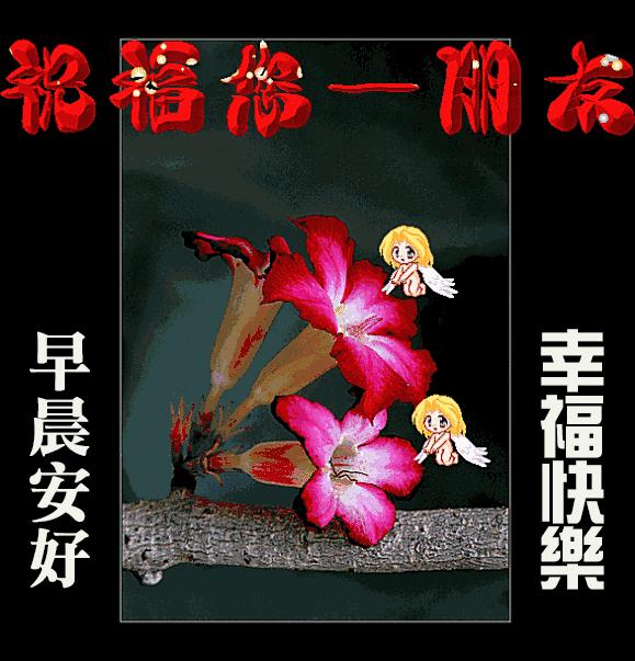 早上好祝福语会动的早上好图片,最新早上好问候祝福语图片图文