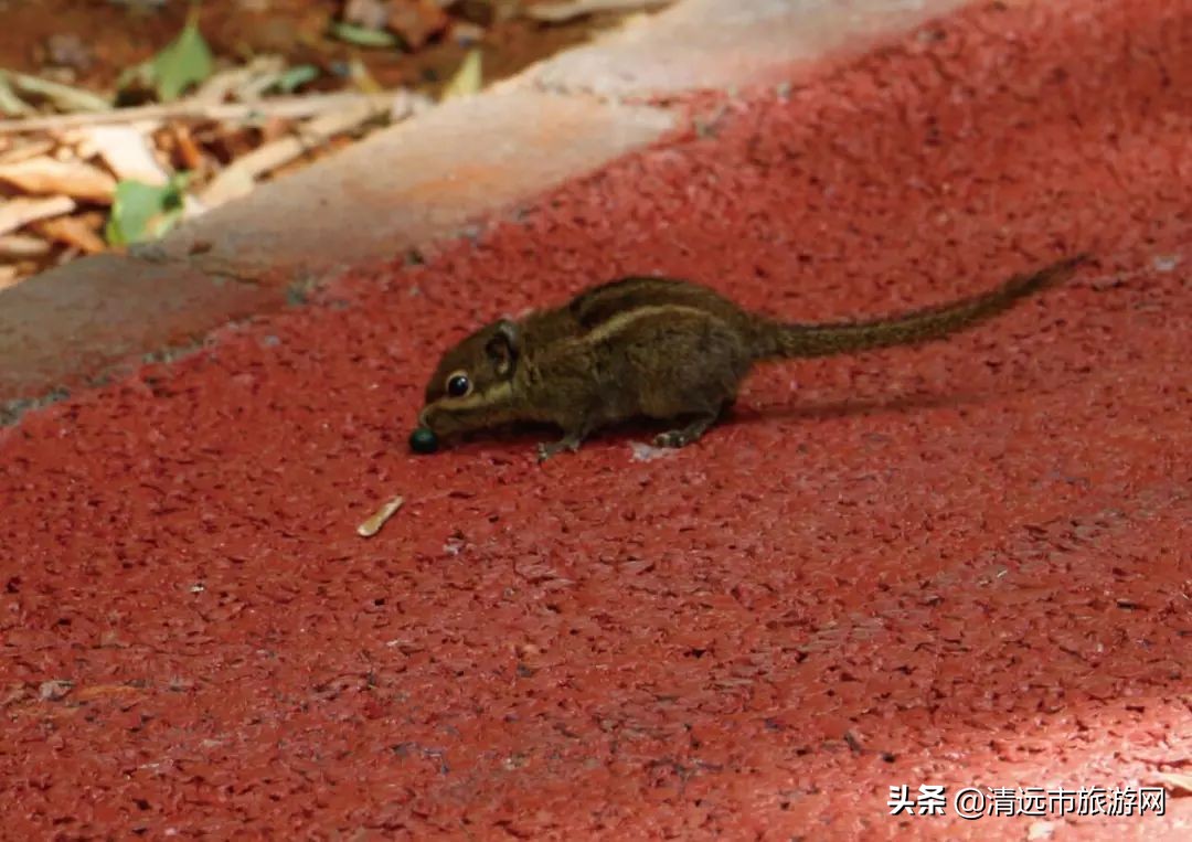 寒假亲子游推荐4-5天游,暑假亲子游玩地点推荐3天2夜