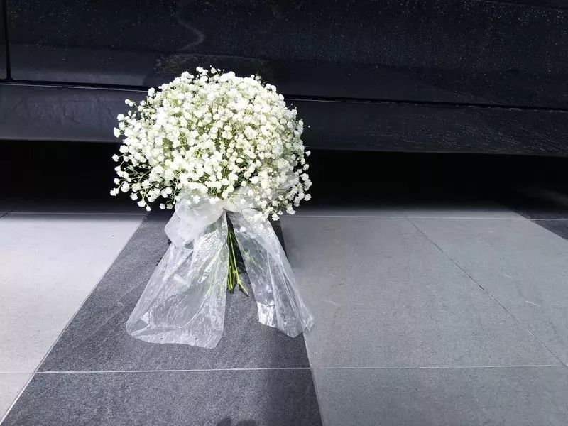 如何制作不变色好看的干花,制作干花怎么把花弄开