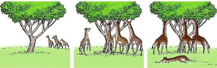 王元卓生活中的人工智能,王元卓著作