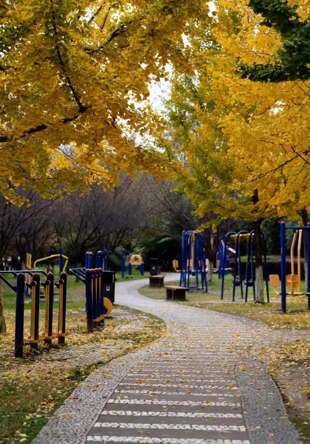 汉台半日游,汉台区一日游