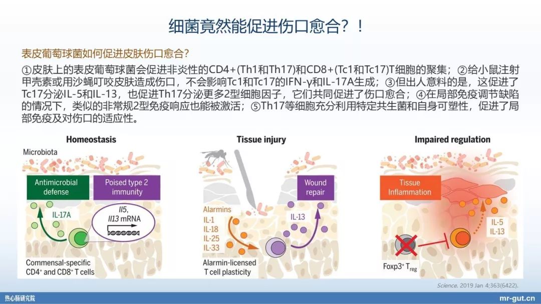 热心肠先生益生菌视频大全,热心肠先生全集