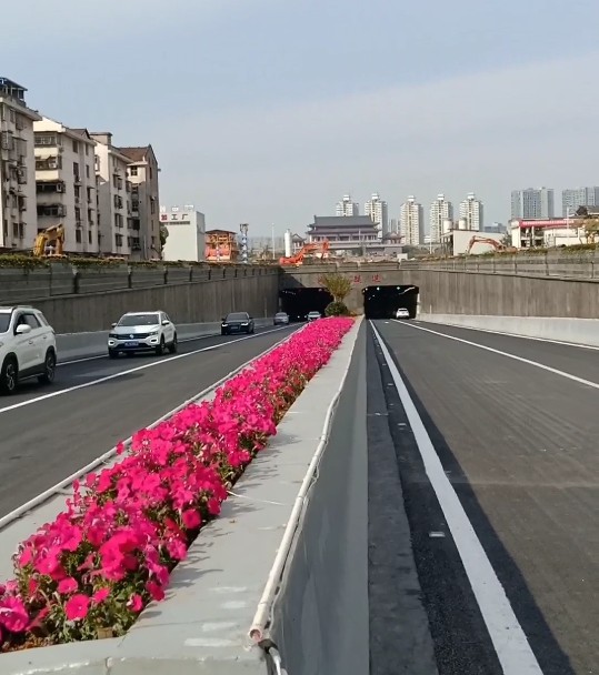 我的第二个家抖音,我的第二个家游戏