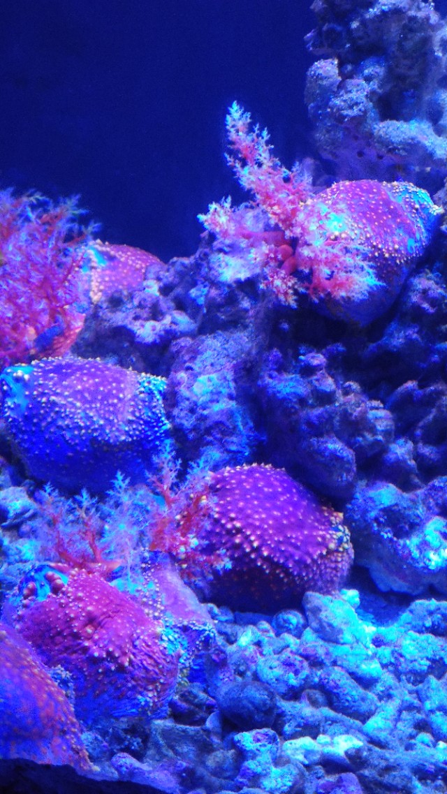 福州欧乐堡海洋世界家庭套票团购,福州欧乐堡海洋世界门票价格