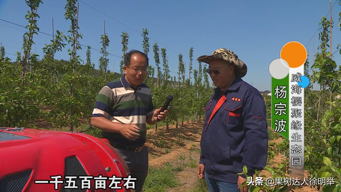 老徐谈农业好视频,老徐带你逛果园