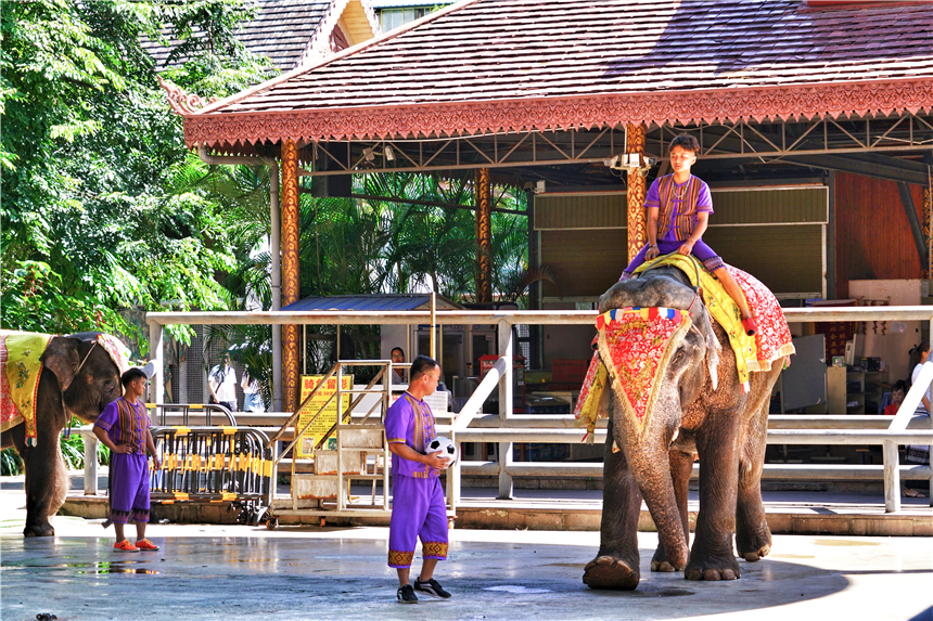 云南民族文化公园,云南最好的景区公园