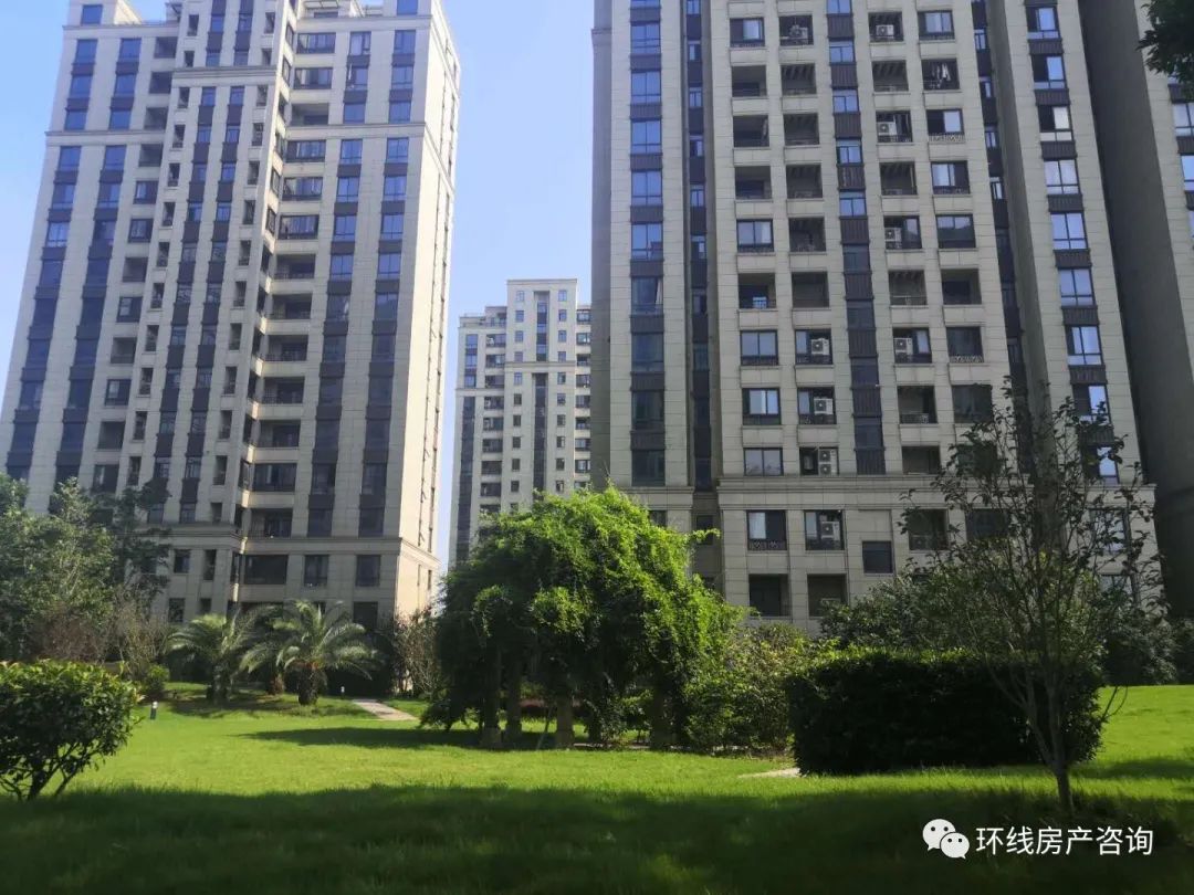 川沙值得买吗,川沙卖观赏鱼