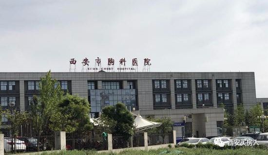 小易探店完整版,小易探店视频大全