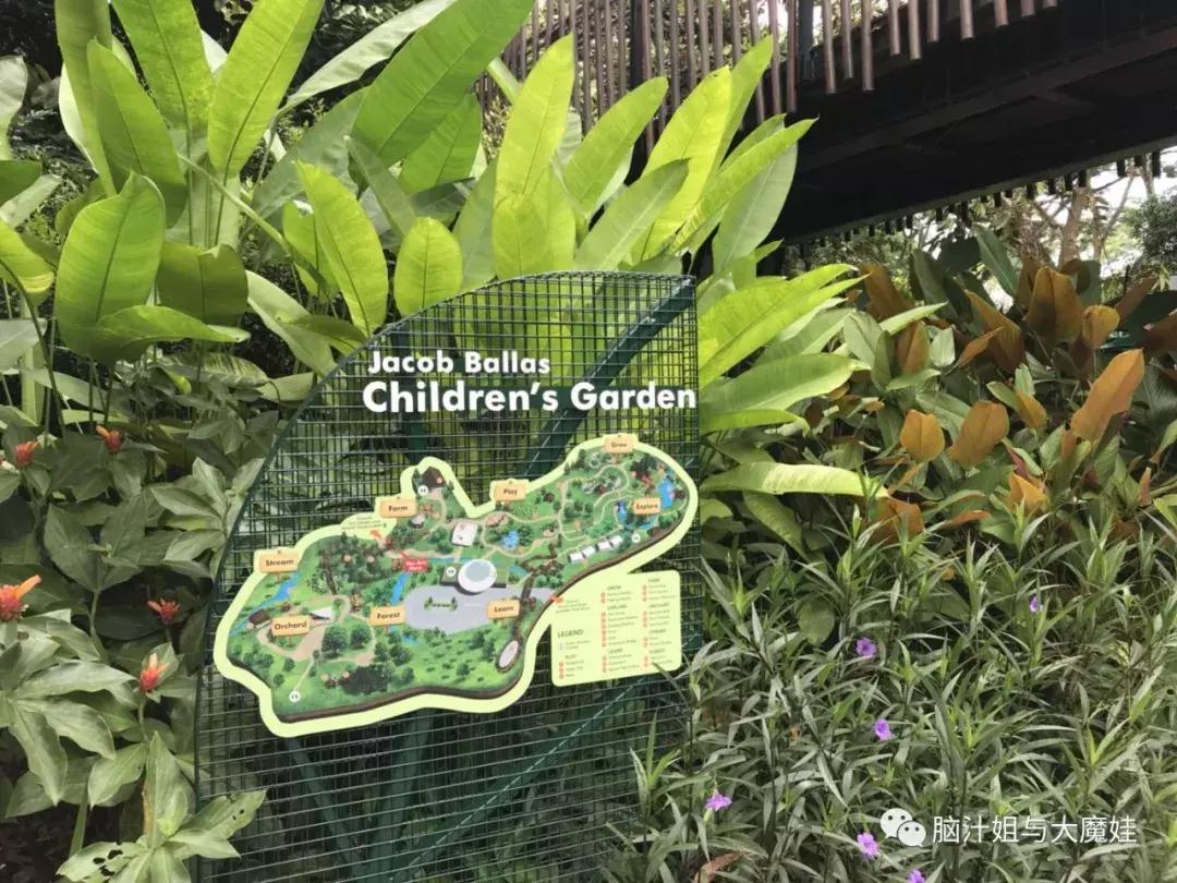 新加坡马来西亚泰国旅游攻略,新加坡马来西亚四日游攻略