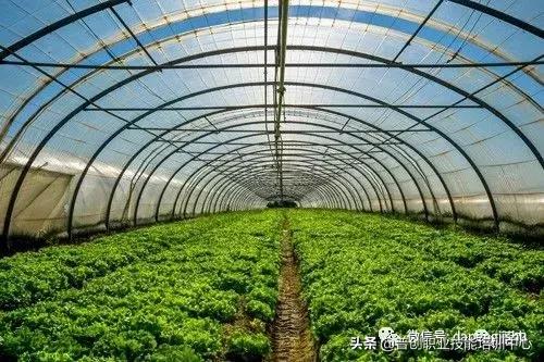 建一个温室大棚大概需要多少人工,温室大棚建造前景