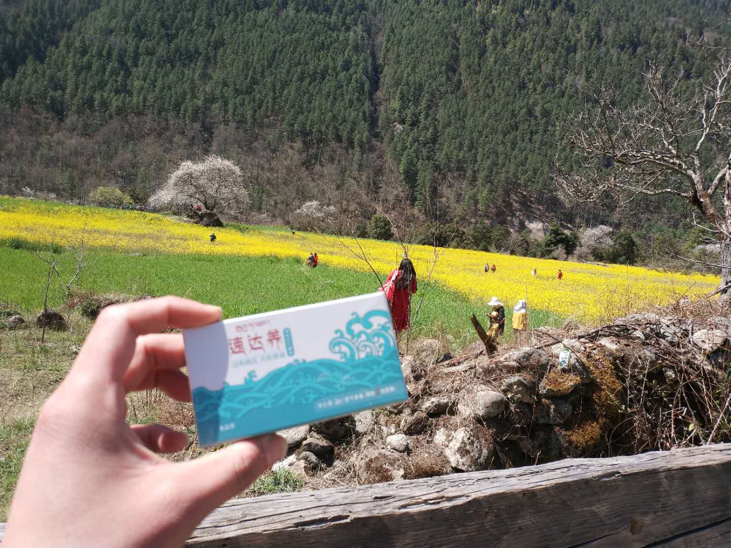 去青海湖玩会有高原反应吗,去青海湖有高原反应吗海拔多少米