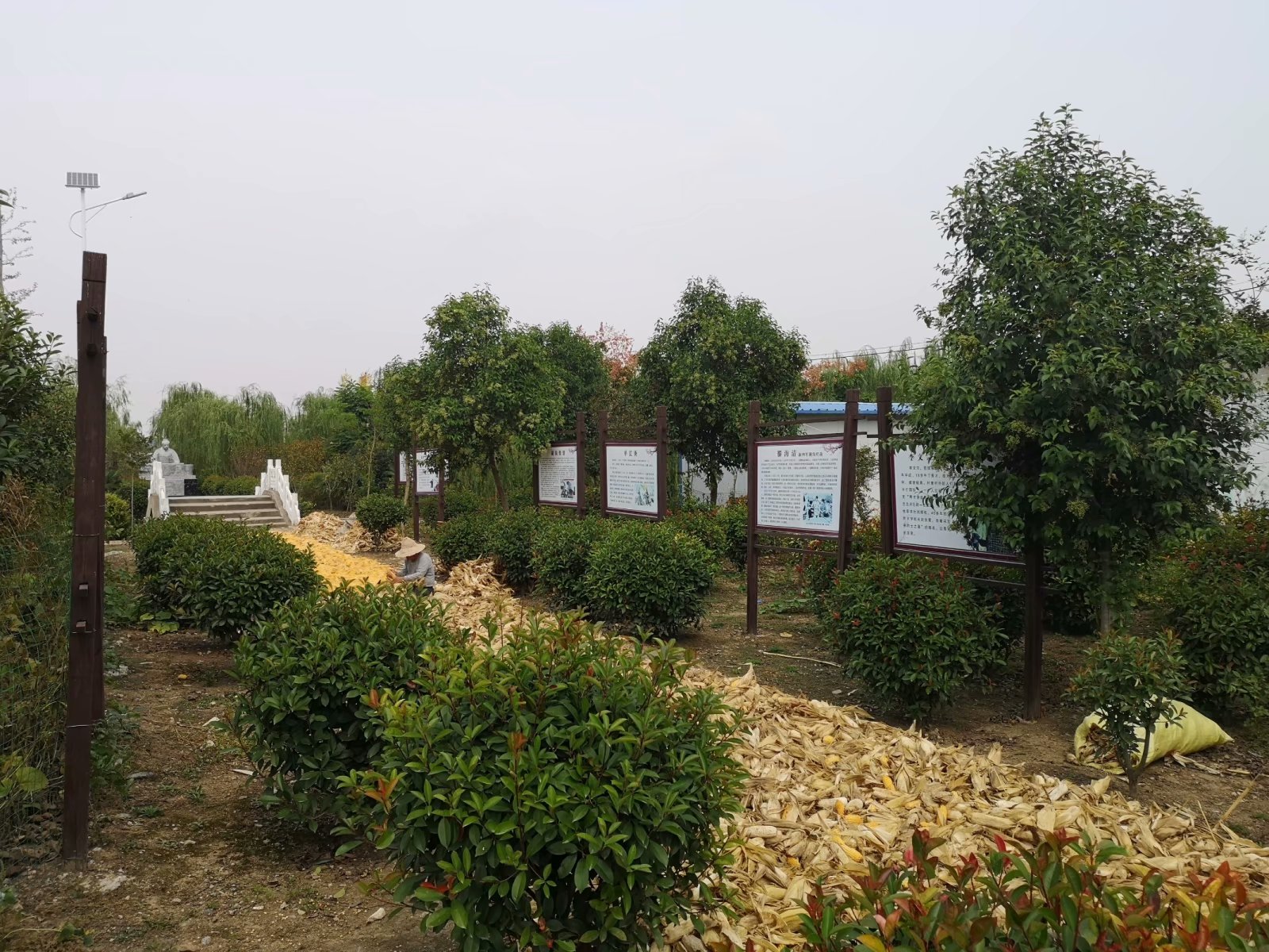 俞伯牙墓为什么在固镇,俞伯牙墓出土