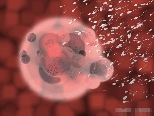 想要怀孕男人应该要注意什么,男人要注意什么更容易怀孕