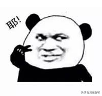 说出来都是泪！只有新下海的人才能体会这种痛，简直是全军覆灭