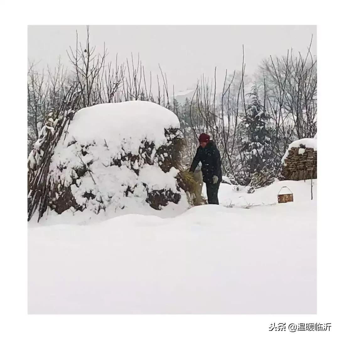 雪后的临沭小城，美得令人窒息