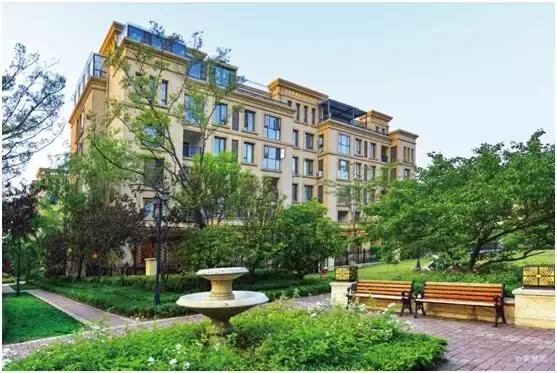 从普罗旺斯看紫色花海,从普罗旺斯到柳沙公园怎么走