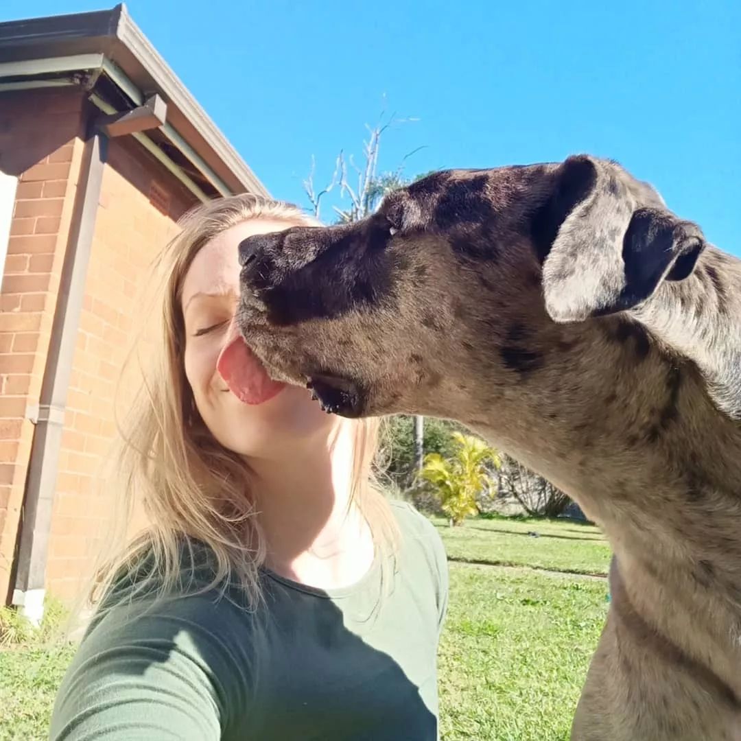 狗狗总爱舔舔舔，这是咋回事？