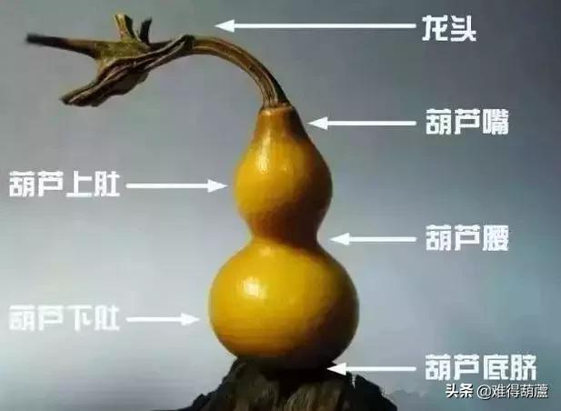 美国手捻葫芦值得盘吗,手捻葫芦已经盘了两年