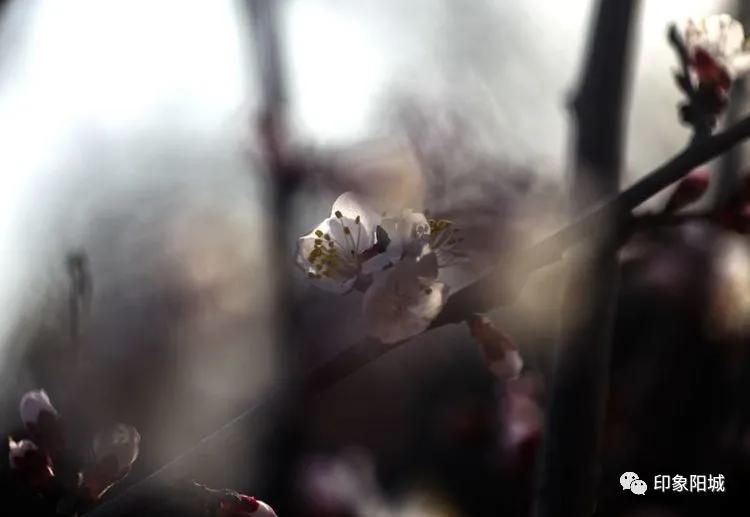 晋城哪里可以春游,晋城附近春游景点