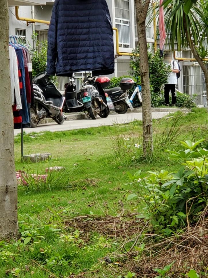 鎶犺剼澶ф眽鍐掑厖濡欓緞濂抽儙鐩存挱,鎶犺剼澶ф眽鍐掑厖娓呯函濂冲弸