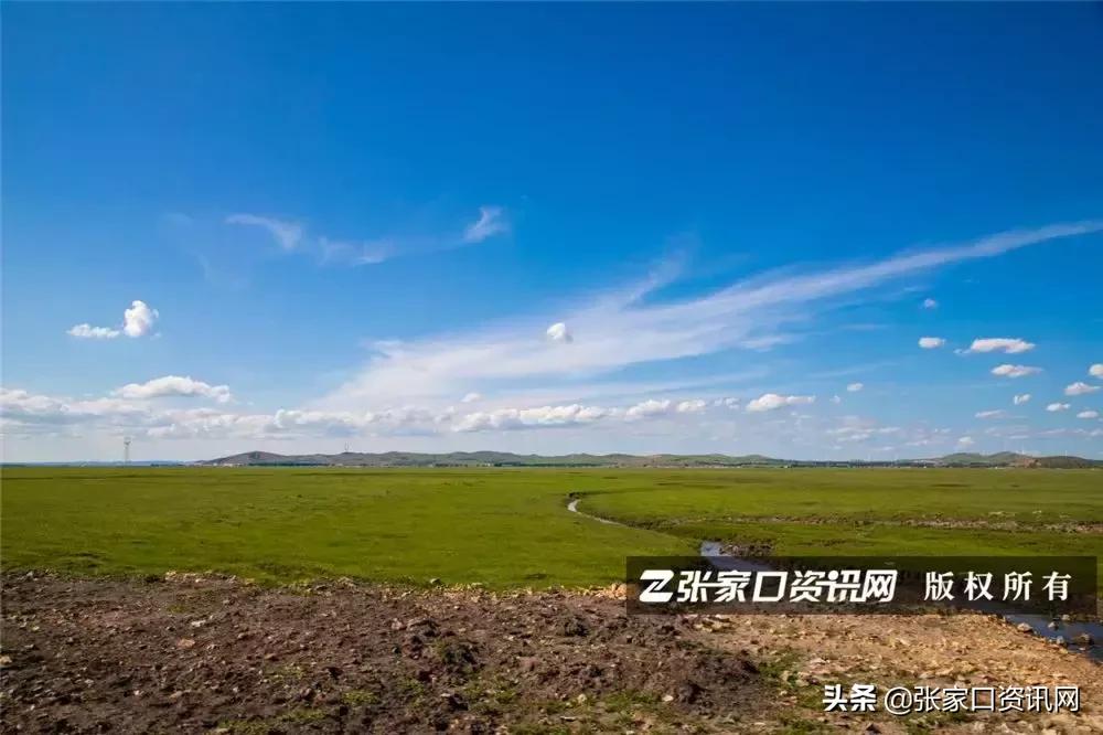 张家口草原天路美景如画,张家口一路风景