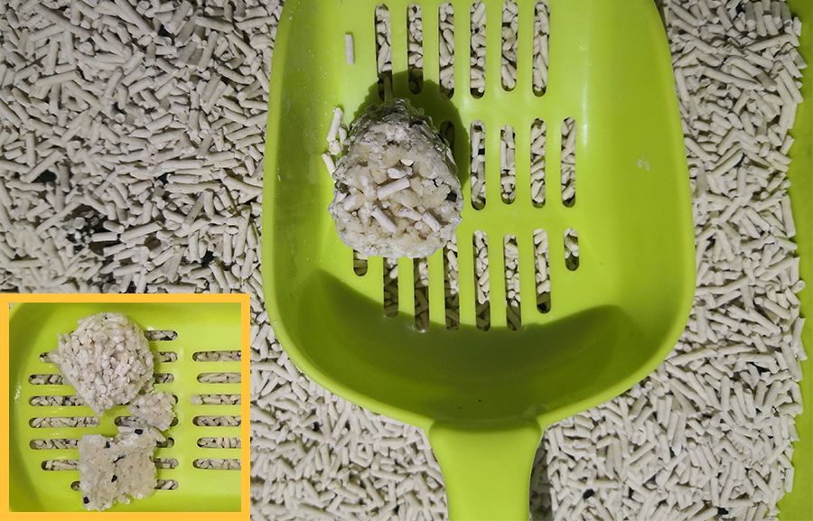 黑科技超强除臭猫砂,豆腐猫砂无粉尘真实测评