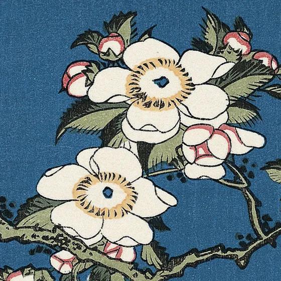 葛饰北斋莫奈,fategrandorder葛饰北斋