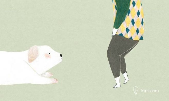 狗狗冷知识大合集视频,狗狗冷知识狗粮