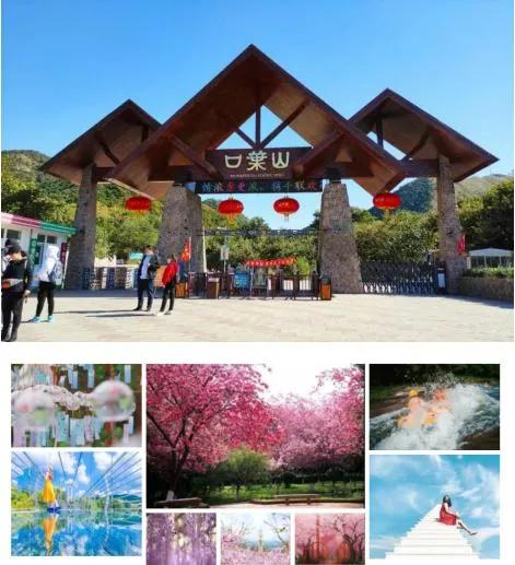 2019年惠民旅游卡景点介绍,2021年唐山市文化旅游惠民卡